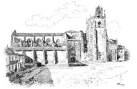 263533.jpg