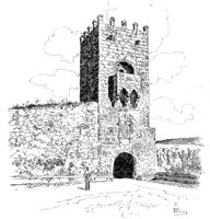 263529.jpg