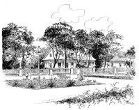 263501.jpg