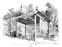 263497.jpg