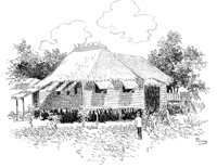 263495.jpg