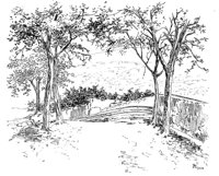 263485.jpg