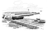 263451.jpg