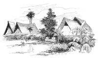 263399.jpg