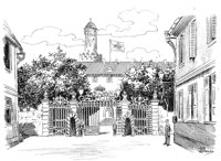 263345.jpg
