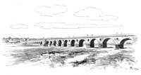 263339.jpg