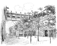 263325.jpg