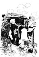263295.jpg