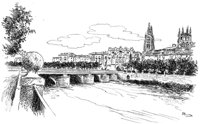 263259.jpg