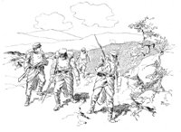 263255.jpg