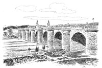 263184.jpg