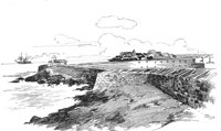 263175.jpg