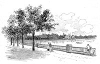 263165.jpg