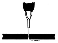 23752.jpg