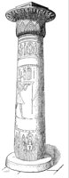 195184.jpg