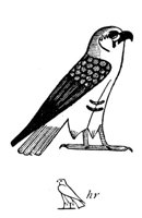 195098.jpg