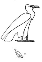 195096.jpg