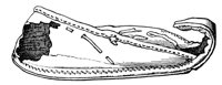 194920.jpg
