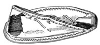194918.jpg