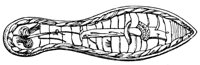 194906.jpg