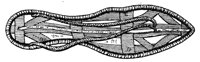 194904.jpg