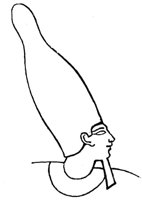 194896.jpg