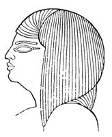 194868.jpg