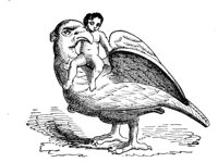 180498.jpg