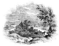 180460.jpg