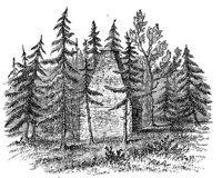 180160.jpg