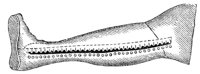180026.jpg