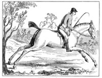 179950.jpg