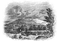 179818.jpg