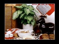 GALSCN44.GIF