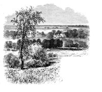 684251.jpg
