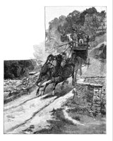 684225.jpg