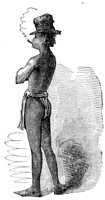 678189.jpg