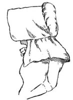 597546.jpg