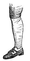 597542.jpg