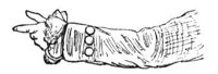 597540.jpg