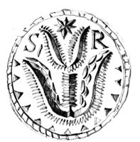 593846.jpg