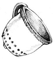 593594.jpg