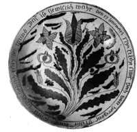 593544.jpg