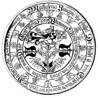 593486.jpg