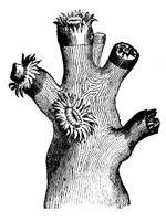 416404.jpg