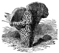 416396.jpg