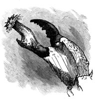 416390.jpg
