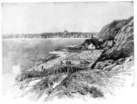 416338.jpg