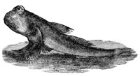 416332.jpg