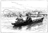 416298.jpg